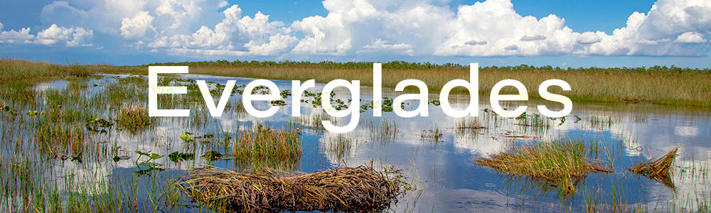 Everglades National Park
 Hero