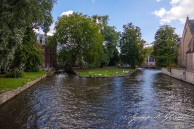 2023-08-12_Bruges-2988.jpg