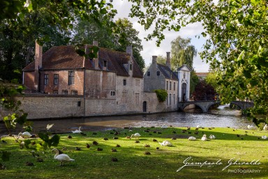 2023-08-12_Bruges-3010.jpg