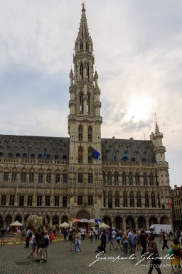 2023-08-11_Bruxelles-2804.jpg