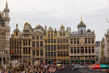 2023-08-11_Bruxelles-2818.jpg