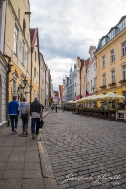 2017-08-16-_Estonia_2589.jpg