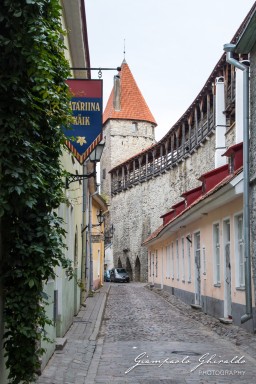 2017-08-17-_Estonia_2644.jpg