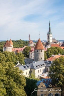 2017-08-17-_Estonia_2697.jpg