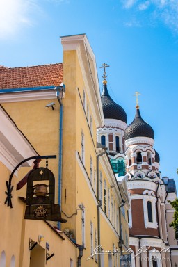 2017-08-17-_Estonia_2721.jpg