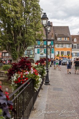 2023-08-08_Colmar-2419.jpg