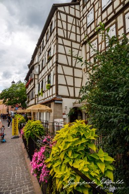 2023-08-08_Colmar-2424.jpg