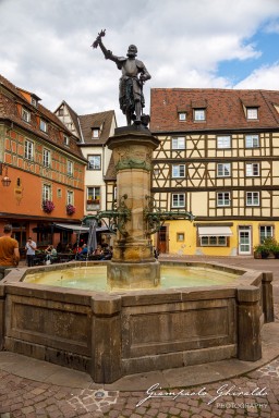 2023-08-08_Colmar-2435.jpg