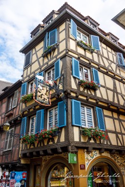 2023-08-08_Colmar-2455.jpg