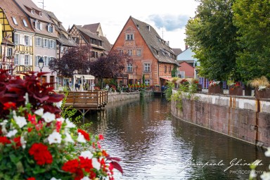 2023-08-08_Colmar-2472.jpg