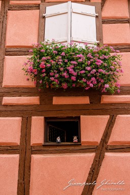 2023-08-08_Eguisheim-2334.jpg