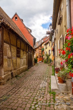 2023-08-08_Eguisheim-2338.jpg