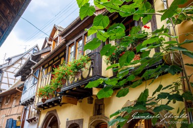 2023-08-08_Eguisheim-2343.jpg