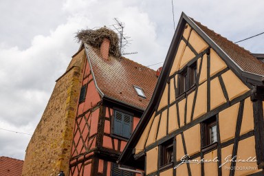 2023-08-08_Eguisheim-2346.jpg