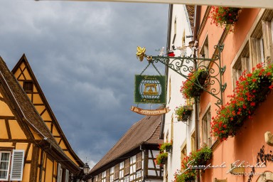 2023-08-08_Eguisheim-2375.jpg