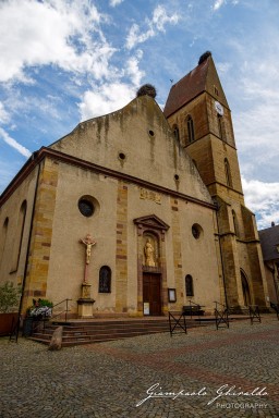 2023-08-08_Eguisheim-2398.jpg