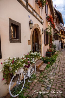 2023-08-08_Eguisheim-2402.jpg