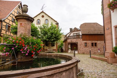 2023-08-09_Riquewihr-2475.jpg