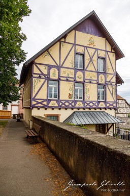 2023-08-09_Riquewihr-2479.jpg