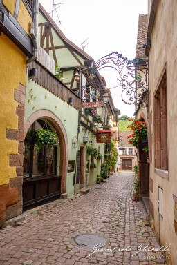 2023-08-09_Riquewihr-2484.jpg