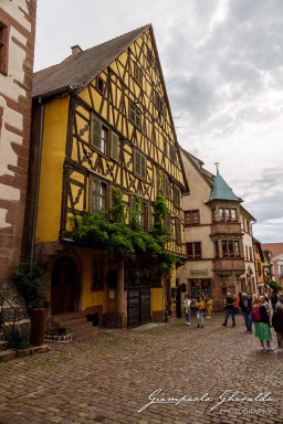 2023-08-09_Riquewihr-2487.jpg