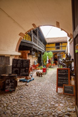 2023-08-09_Riquewihr-2489.jpg