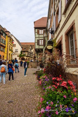 2023-08-09_Riquewihr-2493.jpg