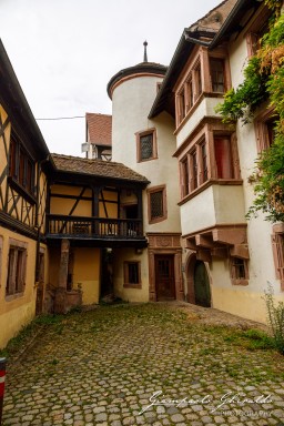 2023-08-09_Riquewihr-2507.jpg