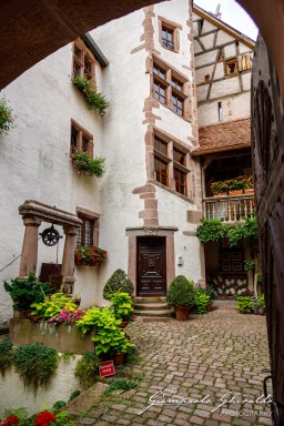 2023-08-09_Riquewihr-2511.jpg