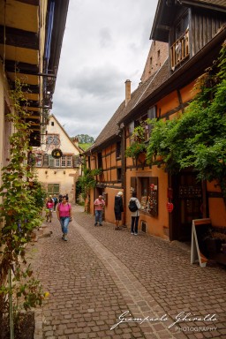 2023-08-09_Riquewihr-2514.jpg