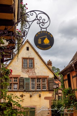 2023-08-09_Riquewihr-2515.jpg