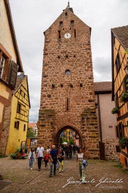 2023-08-09_Riquewihr-2516.jpg