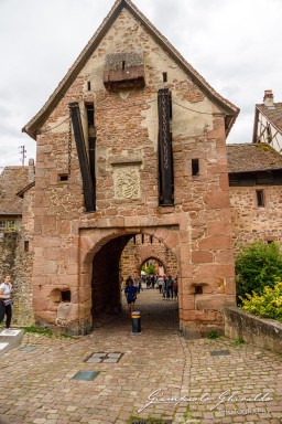 2023-08-09_Riquewihr-2518.jpg