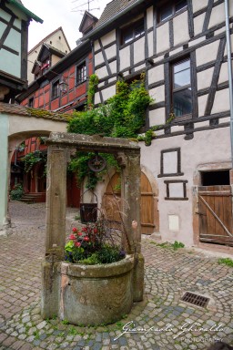 2023-08-09_Riquewihr-2543.jpg