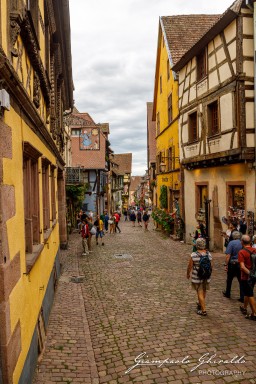 2023-08-09_Riquewihr-2555.jpg