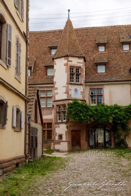 2023-08-09_Riquewihr-2561.jpg