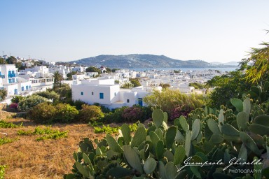 20140606_Mykonos_5674.jpg