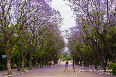 2018-05-20-_Atene_4291.jpg