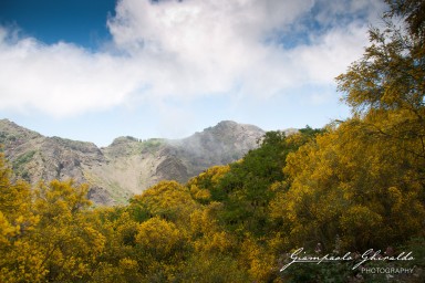 20090700_Campania_7431.jpg