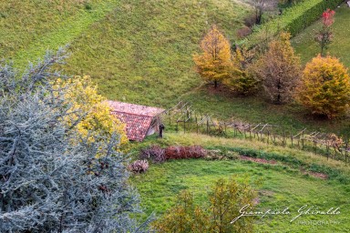 2017-10-28-_Bergamo_3414.jpg