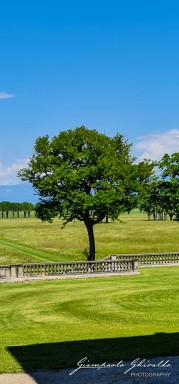 2021-05-30---Piazzola-Sul-Brenta-114954.jpg