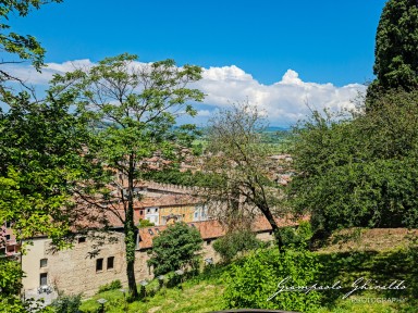 2023-06-11_Soave-120151.jpg