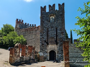 2023-06-11_Soave-120634.jpg