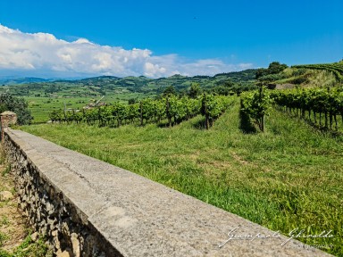 2023-06-11_Soave-121010.jpg