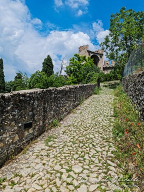 2023-06-11_Soave-144208.jpg