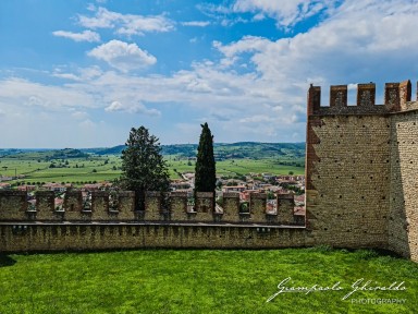 2023-06-11_Soave-144913.jpg