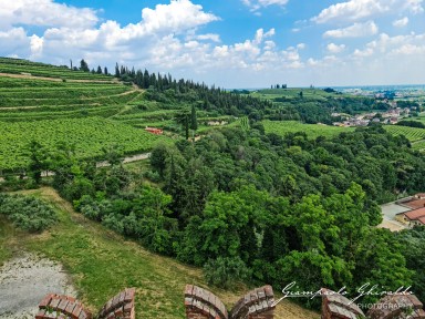 2023-06-11_Soave-152059.jpg