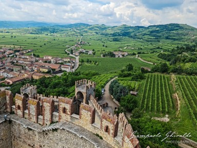 2023-06-11_Soave-152356.jpg