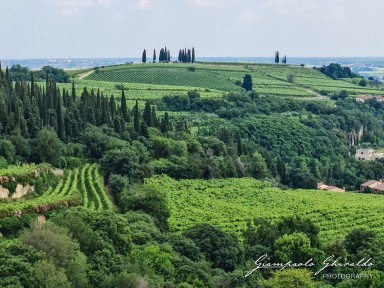 2023-06-11_Soave-152739.jpg