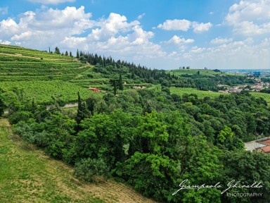 2023-06-11_Soave-153128.jpg